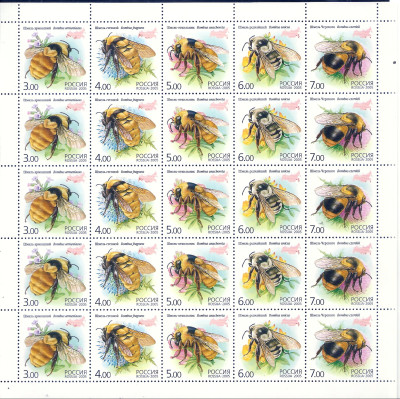 2005 Rosja Ark 1260 - 1264**