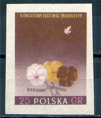 1955 r. Luzak Fi 778**