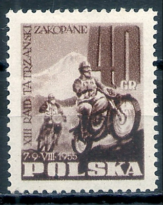 1955 r. Luzak Fi 786**