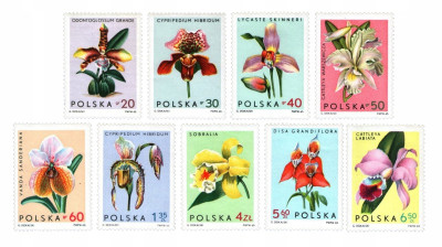 Fi 1463-1471 ** Storczyki