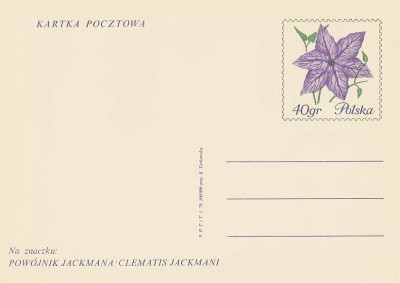 Cp 435 : Wystawa kwiat&oacute;w Dni Żywiecczyzny