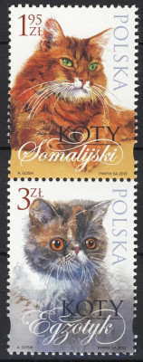 Fi 4319 + Fi 4322 parka pionowa czysta** Koty