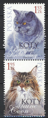 Fi 4317 + Fi 4320 parka pionowa czysta** Koty