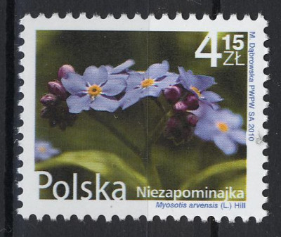 Fi 4339 ** Kwiaty i owoce