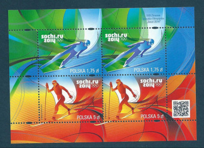 Blok 254 ** Zimowe igrzyska Olimpijskie  "Soczi 2014"