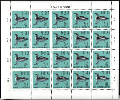1964 Fi. 1342 - 1350 ** Ptaki wodne - arkusiki