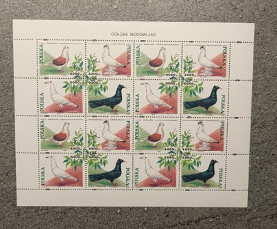 Fi 3363 - 3366 czysty** Gołębie hodowlane. Arkusik