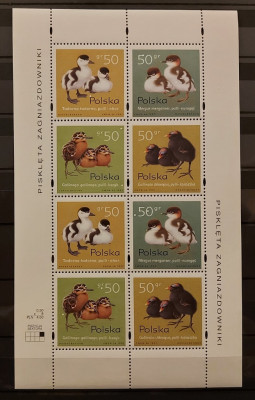 Fi 3538 I ** Pisklęta zagniazdowniki 1997