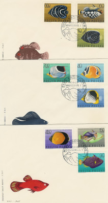 FDC 1600-08 #3: Ryby egzotyczne