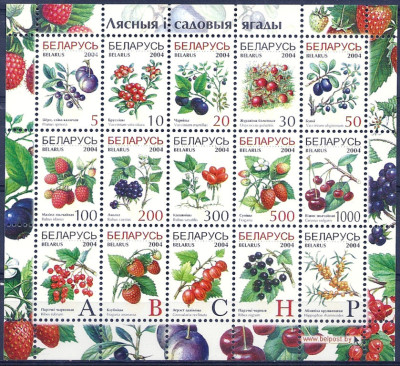 2003 r Białoruś Ark 540 - 554**