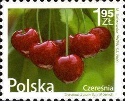 2009 r. Fi 4288 - 4289**