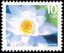 2015 r. Fi 4638 - 4639**.