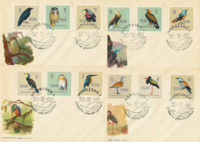 FDC 1062-73 #4: Ptaki chronione