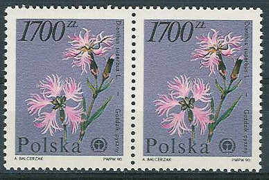 luzak ZC 3139 2po