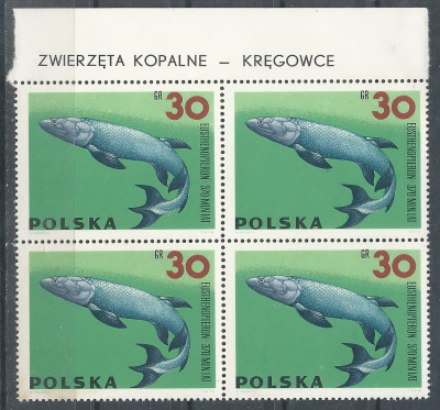 luzak ZC 1507 4x nazwa