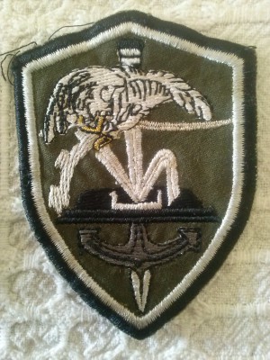 Naszywka - wojsk desantowych????