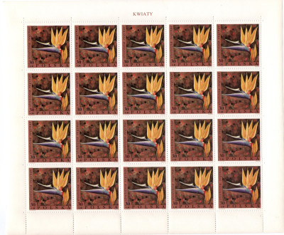 Fi 1689 - 1696 ** Kwiaty. Arkusze