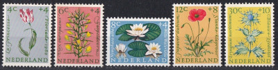 Flora kwiaty Niderlandy 1960 czyste **