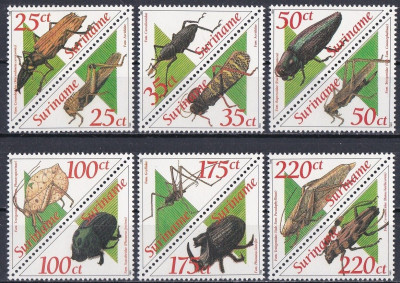 Fauna owady Surinam 1993 czyste **