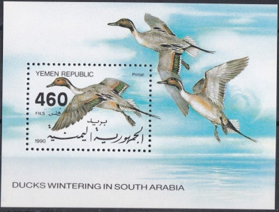 Ptaki kaczki Jemen 1990 czyste **