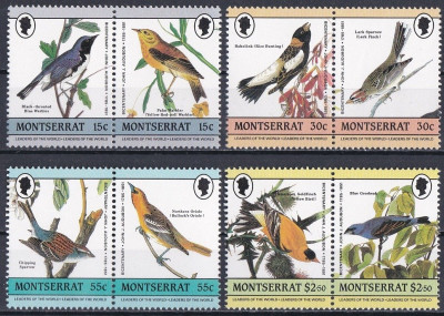 Ptaki 200 rocznica urodzin Johna Jamesa Audubona Montserrat