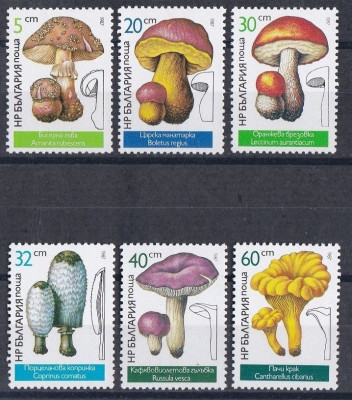 Grzyby Bułgaria 1987 czyste **