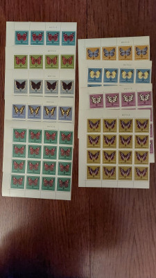 ark MOTYLE Fi 1650-1658 bl 16 zn