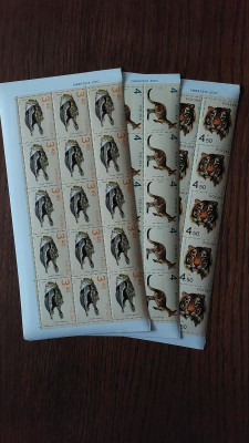 LISTWY Z NAPISEM ARK 2015-2023 BLOK 15 ZN