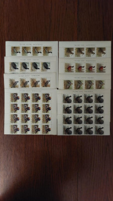 Ark Ptaki łowne fi 1841-48 bl 16 znaczkowy