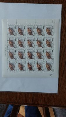 ARKUSZ FI 3509 NIETOPERZE