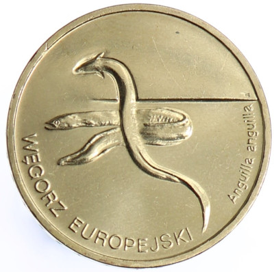 2 zł Węgorz Europejski