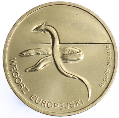 2 zł Węgorz Europejski