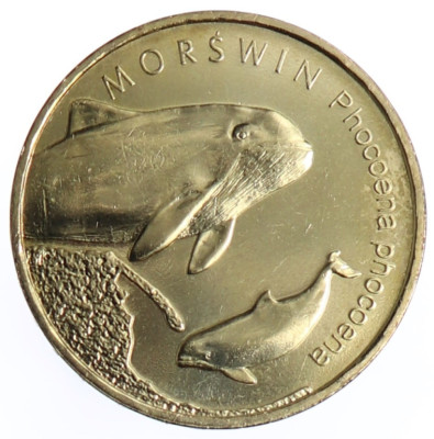 2 zł - Morświn