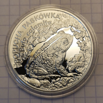 20 ZŁ ROPUCHA PASK&Oacute;WKA 1988 R MENNICZA