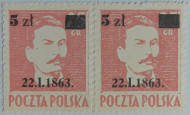 Fi 347 ab -  brązowor&oacute;żowy gwarancja  -  p. Wiatrowski