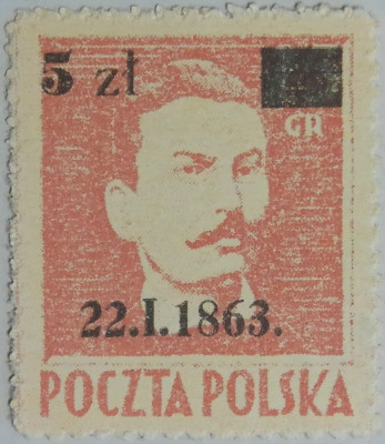 Fi 347 ac -  ciemno brązowor&oacute;żowy gw.  -  p. Berbeka