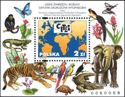 2001 r. Blok 172**.