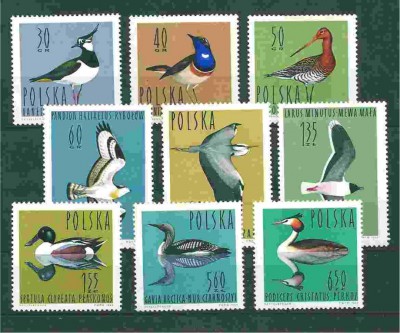 1964 r.   Fi  1342 - 1350**